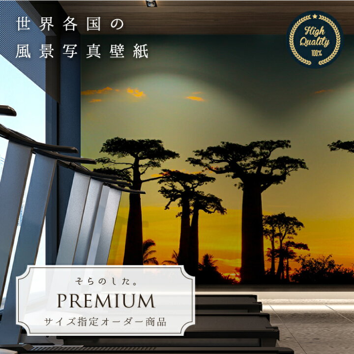 楽天市場 期間限定sale オーダー壁紙 壁紙 写真 アフリカ バオバブ 木 空 夕日 樹木 影 おしゃれ 綺麗 自然 開放的 癒し 貼りやすい 防カビ 日本製 国産 リメイク 模様替え 店舗 内装 部屋 寝室 キッチン リビング トイレ 風景 景色 かべがみはるこ そらのした