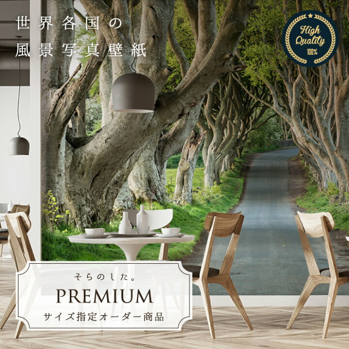 楽天市場 オーダー壁紙 壁紙 写真 森林 並木道 ブナ 幻想的 アイルランド おしゃれ 綺麗 自然 開放的 癒し 貼りやすい 防カビ 日本製 国産 リメイク 模様替え 店舗 内装 寝室 リビング トイレ 風景 景色 かべがみはるこ そらのした Premium かべがみはるこの壁紙工場