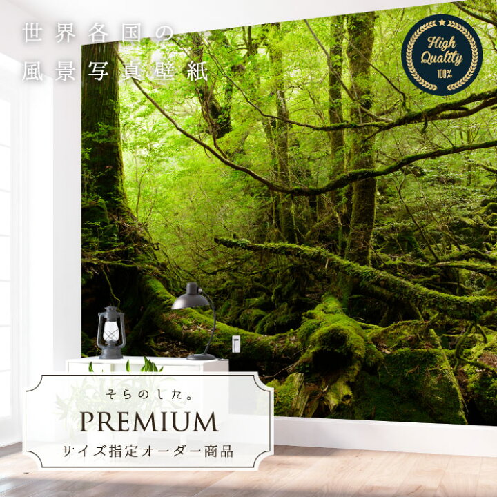 楽天市場 期間限定sale オーダー壁紙 壁紙 写真 森 山 ジャングル 屋久島 神秘的 大自然 おしゃれ 綺麗 自然 開放的 癒し 貼りやすい 防カビ 日本製 国産 リメイク 模様替え 店舗 内装 部屋 寝室 キッチン リビング トイレ 風景 景色 かべがみはるこ そらのした