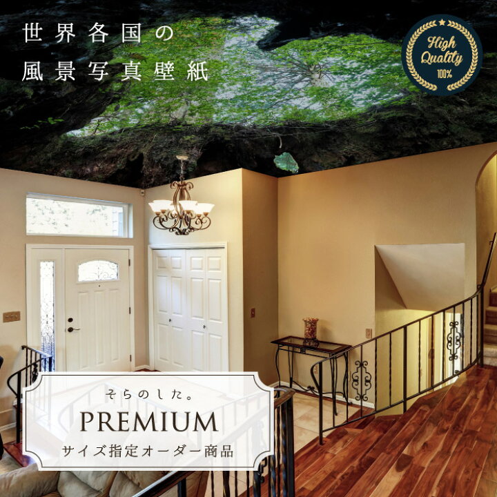 楽天市場 期間限定sale オーダー壁紙 壁紙 写真 森 山 屋久島 ハート 神秘的 大自然 おしゃれ 綺麗 自然 開放的 癒し 貼りやすい 防カビ 日本製 国産 リメイク 模様替え 店舗 内装 部屋 寝室 天井 キッチン リビング トイレ 風景 景色 かべがみはるこ そらのした