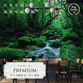 楽天市場 屋久島 癒しの通販