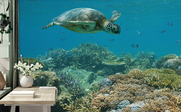 楽天市場 期間限定sale オーダー壁紙 壁紙 写真 海 南国 ビーチ リゾート 海の中 ウミガメ サンゴ おしゃれ 綺麗 自然 癒し 貼りやすい 防カビ 日本製 国産 リメイク 模様替え 店舗 内装 部屋 寝室 キッチン リビング トイレ 風景 景色 かべがみはるこ そらのした