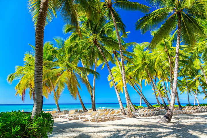 楽天市場 オーダー壁紙 壁紙 写真 海 ヤシの木 ハワイアン 南国 リゾート 青空 砂浜 おしゃれ 綺麗 自然 癒し 貼りやすい 防カビ 日本製 国産 リメイク 模様替え 店舗 内装 部屋 寝室 キッチン リビング トイレ 風景 景色 かべがみはるこ そらのした Premium 楽天市場 オーダー壁紙 壁紙 写真 海 ヤシの木 ハワイアン 南国 リゾート 青空 砂浜 おしゃれ 綺麗 自然 癒し 貼りやすい 防カビ 日本製 国産 リメイク 模様替え 店舗 内装 部屋 寝室 キッチン リビング トイレ 風景 景色 かべがみはるこ そらのした Premium