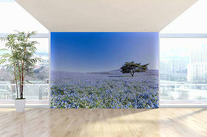 楽天市場 オーダー壁紙 壁紙 写真 花 植物 ネモフィラ おしゃれ ボタニカル 爽やか ブルー 貼りやすい 自然 防カビ 日本製 国産 リメイク 模様替え 店 天井 部屋 寝室 キッチン リビング トイレ 風景 景色 かべがみはるこ そらのした かべがみはるこの壁紙工場 楽天市場 オーダー壁紙 壁紙 写真 花 植物 ネモフィラ おしゃれ ボタニカル 爽やか ブルー 貼りやすい 自然 防カビ 日本製 国産 リメイク 模様替え 店 天井 部屋 寝室 キッチン リビング トイレ 風景 景色 かべがみはるこ そらのした かべがみはるこの壁紙工場