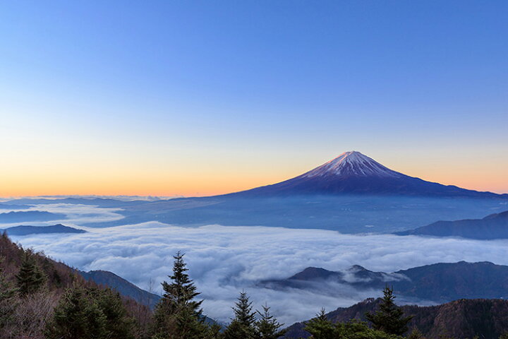 楽天市場 オーダー壁紙 壁紙 富士山 山 空 雲 雲海 写真 綺麗 おしゃれ 美しい 自然 貼りやすい デザイン 防カビ 日本製 国産 リメイク 模様替え 店 部屋 和室 寝室 キッチン リビング トイレ 風景 景色 かべがみはるこ そらのした かべがみはるこの壁紙工場