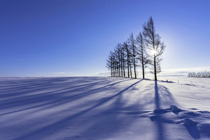 楽天市場 オーダー壁紙 壁紙 雪 写真 おしゃれ 自然 貼りやすい デザイン 防カビ 日本製 国産 リメイク 模様替え 店 天井 部屋 寝室 キッチン リビング トイレ 木 林 風景 冬 景色 ホワイト かべがみはるこ そらのした かべがみはるこの壁紙工場