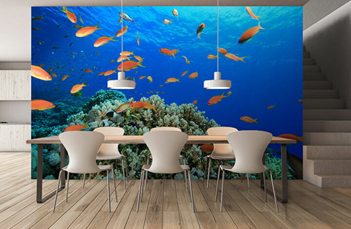 楽天市場 オーダー壁紙 壁紙 海の中 水中 ダイビング サンゴ 熱帯魚 サンゴ礁 写真 おしゃれ 自然 幻想的 貼りやすい デザイン 防カビ 日本製 国産 リメイク 模様替え 店舗 天井 部屋 寝室 キッチン リビング トイレ 風景 景色 ブルー かべがみはるこ そらのした