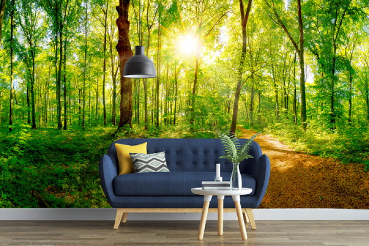 楽天市場 オーダー壁紙 壁紙 森林 写真 おしゃれ 自然 爽やか 癒し 貼りやすい デザイン 防カビ 日本製 国産 リメイク 模様替え ホテル オフィス クリニック 部屋 寝室 キッチン リビング トイレ 風景 景色 グリーン かべがみはるこ そらのした かべがみはるこの