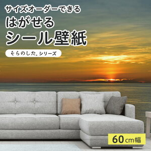 yTCYI[_[z \Ă͂ V[ ǎ ʐ^ F C r[` ][g [ i  CNV[g SV[g DIY \₷ 60cm { Y ̂t ͗lւ JtF