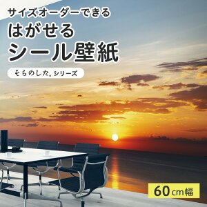 yTCYI[_[z \Ă͂ V[ ǎ ʐ^ F C r[` ][g [ i  CNV[g SV[g DIY \₷ 60cm { Y ̂t ͗lւ JtF