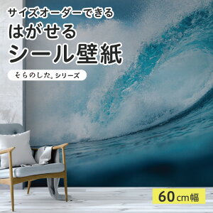 yTCYI[_[z \Ă͂ V[ ǎ ʐ^ F C g ˂ NAu[ i  CNV[g SV[g DIY \₷ 60cm { Y ̂t ͗lւ Jt