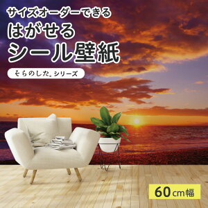 yTCYI[_[z \Ă͂ V[ ǎ ʐ^ F C r[` [ }WbNA[ i  CNV[g SV[g DIY \₷ 60cm { Y ̂t ͗lւ 