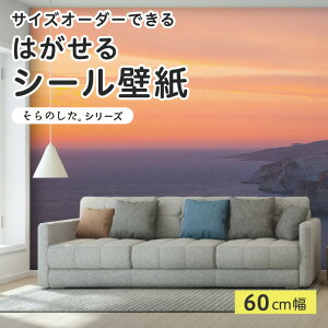 yTCYI[_[z \Ă͂ V[ ǎ ʐ^ F C [ }WbNA[ i  CNV[g SV[g DIY \₷ 60cm { Y ̂t ͗lւ JtF 