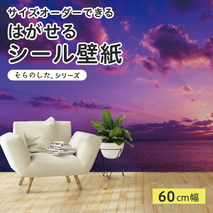 yTCYI[_[z \Ă͂ V[ ǎ ʐ^ F C [ }WbNA[ i  CNV[g SV[g DIY \₷ 60cm { Y ̂t ͗lւ JtF 