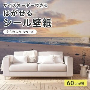 yTCYI[_[z \Ă͂ V[ ǎ ʐ^ F C r[` [  i  CNV[g SV[g DIY \₷ 60cm { Y ̂t ͗lւ JtF It