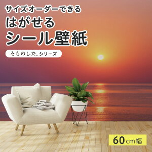yTCYI[_[z \Ă͂ V[ ǎ ʐ^ F C [ }WbNA[ i  CNV[g SV[g DIY \₷ 60cm { Y ̂t ͗lւ JtF 
