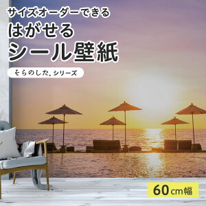 yTCYI[_[z \Ă͂ V[ ǎ ʐ^ F C r[` ][g [ i  CNV[g SV[g DIY \₷ 60cm { Y ̂t ͗lւ JtF