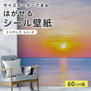 yTCYI[_[z \Ă͂ V[ ǎ ʐ^ F C [ }WbNA[ i  CNV[g SV[g DIY \₷ 60cm { Y ̂t ͗lւ JtF 