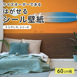 yTCYI[_[z \Ă͂ V[ ǎ ʐ^ F C [ i  CNV[g SV[g DIY \₷ 60cm { Y ̂t ͗lւ JtF ItBX Q 