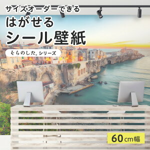 yTCYI[_[z \Ă͂ V[ ǎ ʐ^ F C ][g X [ i  CNV[g SV[g DIY \₷ 60cm { Y ̂t ͗lւ JtF