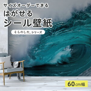 yTCYI[_[z \Ă͂ V[ ǎ ʐ^ F C g Ch i  CNV[g SV[g DIY \₷ 60cm { Y ̂t ͗lւ JtF ItBX