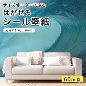 yTCYI[_[z \Ă͂ V[ ǎ ʐ^ F C g i  CNV[g SV[g DIY \₷ 60cm { Y ̂t ͗lւ JtF ItBX Q 