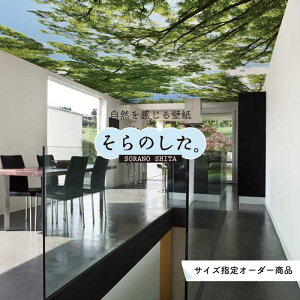 yI[_[ǎz ǎ X ʐ^  R  \₷ fUC hJr { Y CN ͗lւ X V  Q Lb` rO gC i iF O[ ׂ