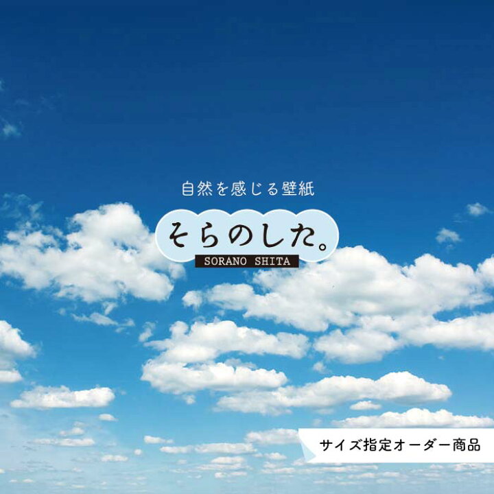 楽天市場 オーダー壁紙 壁紙 空 おしゃれ 写真 自然 雲 スカイ クラウド 癒し 貼りやすい デザイン 防カビ 日本製 国産 リメイク 模様替え 店舗 天井 部屋 寝室 キッチン リビング トイレ 美しい 風景 景色 白 ブルー かべがみはるこ そらのした