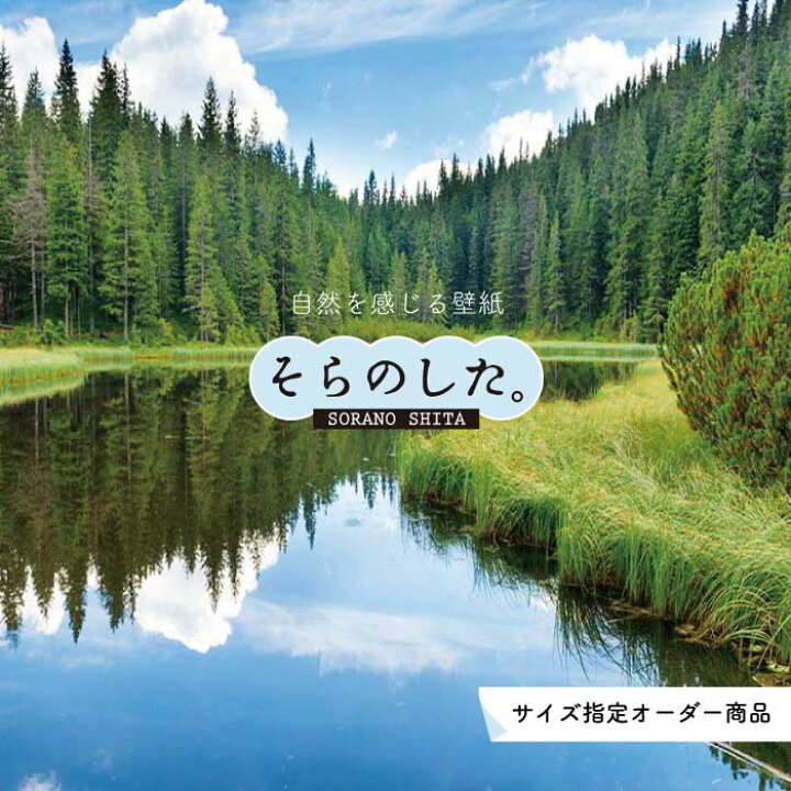 楽天市場 オーダー壁紙 壁紙 森林 おしゃれ 写真 自然 癒し 貼りやすい デザイン 防カビ 日本製 国産 リメイク 模様替え 店舗 天井 部屋 寝室 キッチン リビング トイレ 風景 景色 グリーン かべがみはるこ そらのした かべがみはるこの壁紙工場