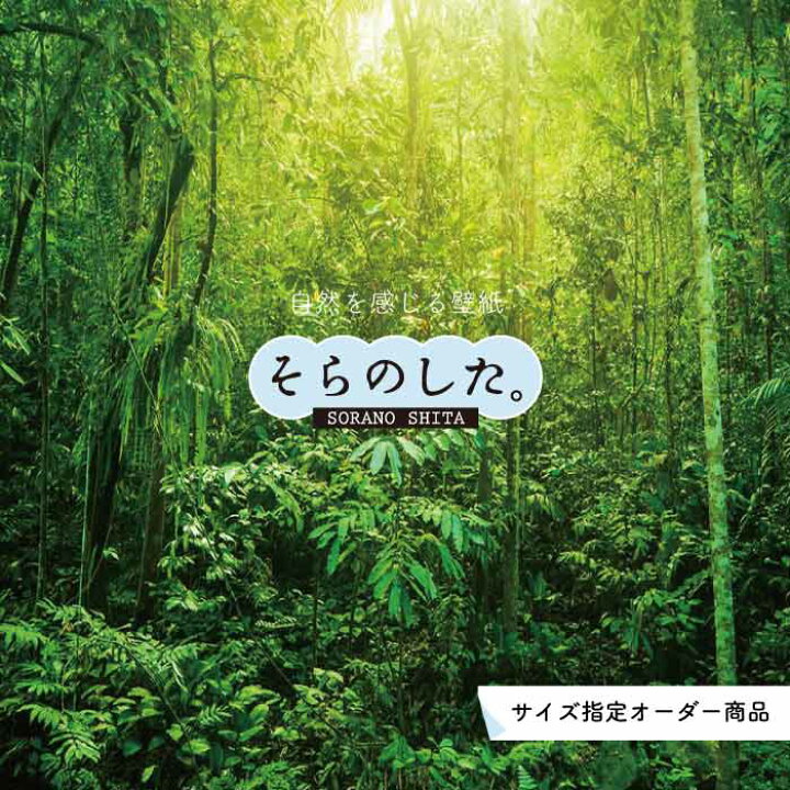 楽天市場 オーダー壁紙 壁紙 ジャングル 森 森林 写真 おしゃれ 自然 癒し 貼りやすい デザイン 防カビ 日本製 国産 リメイク 模様替え 店舗 天井 部屋 寝室 キッチン リビング トイレ 風景 景色 グリーン かべがみはるこ そらのした Ss0085 かべがみはる