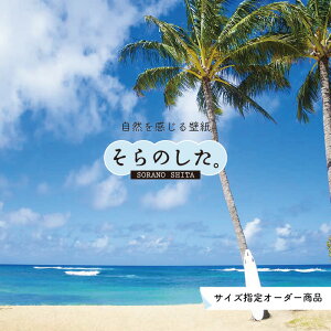 yI[_[ǎz ǎ C V̖ ʐ^  썑 nCA r[` ][g C l } \₷ hJr { Y ANZgNX CN ͗lւ X  