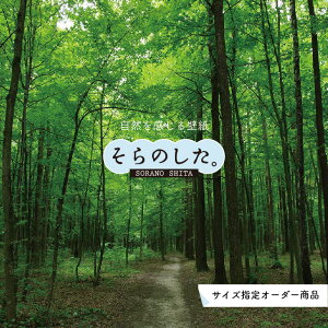 yI[_[ǎz ǎ X ʐ^  R  \₷ fUC hJr { Y CN ͗lւ X V  Q Lb` rO gC i iF O[ ׂ