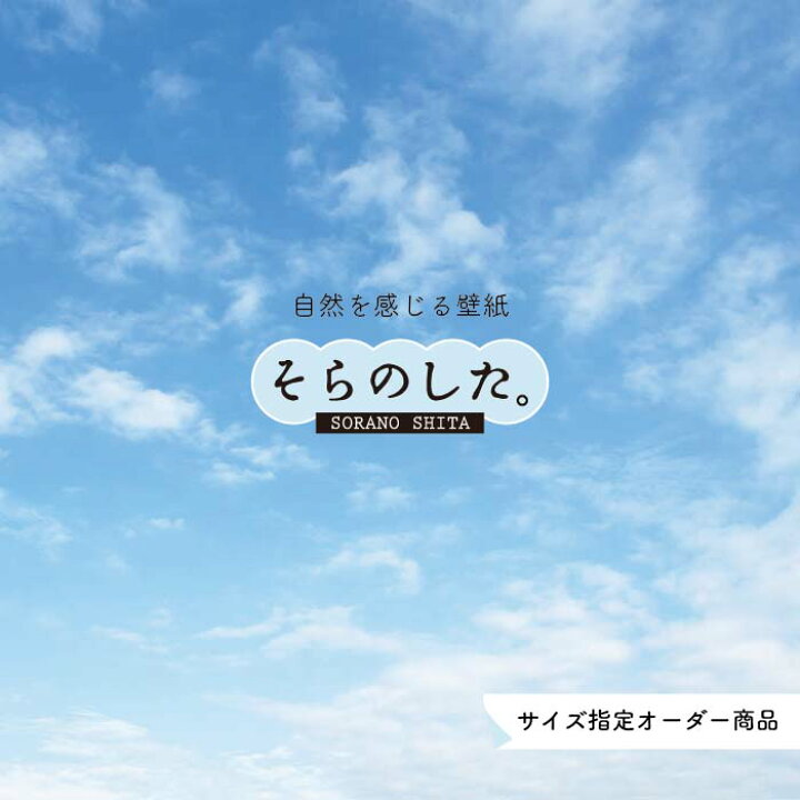 楽天市場 オーダー壁紙 壁紙 空 おしゃれ 写真 自然 雲 スカイ クラウド 癒し 貼りやすい デザイン 防カビ 日本製 国産 リメイク 模様替え 店舗 天井 部屋 寝室 キッチン リビング トイレ 美しい 風景 景色 白 ブルー かべがみはるこ そらのした