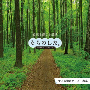 yI[_[ǎz ǎ X ʐ^  R  \₷ fUC hJr { Y CN ͗lւ X V  Q Lb` rO gC i iF O[ ׂ