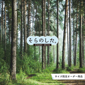 yI[_[ǎz ǎ X ʐ^  R  \₷ fUC hJr { Y CN ͗lւ X V  Q Lb` rO gC i iF O[ ׂ