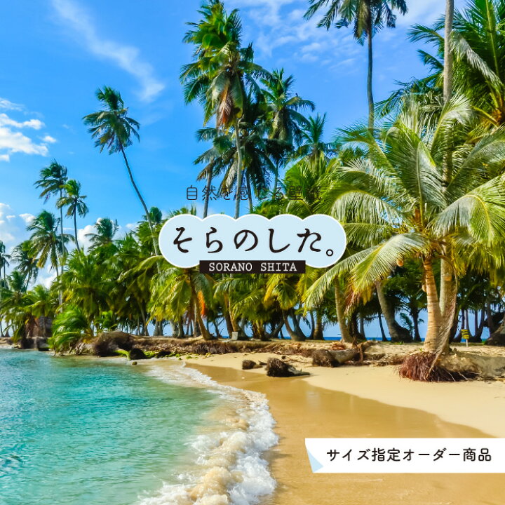 楽天市場 オーダー壁紙 壁紙 ヤシの木 海 写真 おしゃれ 南国風 ハワイアン ビーチ リゾート 海岸 砂浜 貼りやすい 防カビ 日本製 国産 リメイク 模様替え 店舗 天井 部屋 寝室 キッチン リビング トイレ 風景 景色 ブルー かべがみはるこ そらのした かべがみは