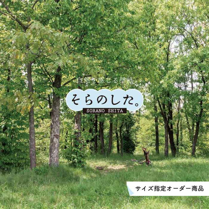 楽天市場 オーダー壁紙 壁紙 森林 写真 おしゃれ 自然 癒し 貼りやすい デザイン 防カビ 日本製 国産 リメイク 模様替え 店舗 天井 部屋 寝室 キッチン リビング トイレ 風景 景色 グリーン かべがみはるこ そらのした Ss かべがみはるこの壁紙工場