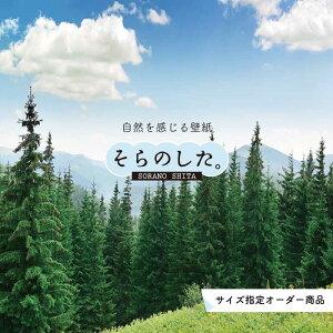 yI[_[ǎz ǎ X ʐ^  R  \₷ fUC hJr { Y CN ͗lւ X V  Q Lb` rO gC i iF O[ ׂ