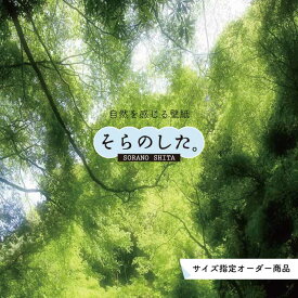 【オーダー壁紙】 壁紙 森林 写真 おしゃれ 自然 癒し 貼りやすい デザイン 防カビ 日本製 国産 リメイク 模様替え 店舗 天井 部屋 寝室 キッチン リビング トイレ 風景 景色 グリーン かべがみはるこ そらのした。 【ss15431】