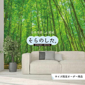 yI[_[ǎz ǎ X ʐ^  R  \₷ fUC hJr { Y CN ͗lւ X V  Q Lb` rO gC i iF O[ ׂ