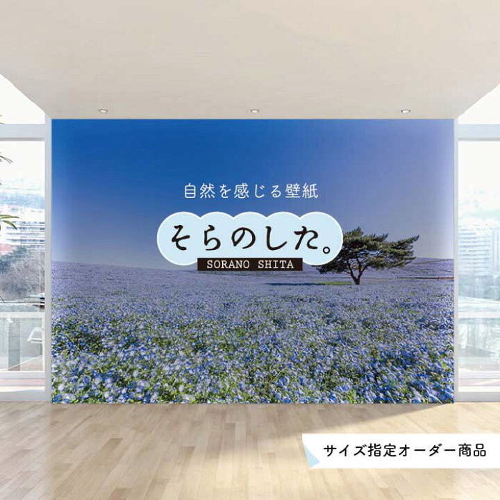 楽天市場 オーダー壁紙 壁紙 写真 花 植物 ネモフィラ おしゃれ ボタニカル 爽やか ブルー 貼りやすい 自然 防カビ 日本製 国産 リメイク 模様替え 店 天井 部屋 寝室 キッチン リビング トイレ 風景 景色 かべがみはるこ そらのした かべがみはるこの壁紙工場