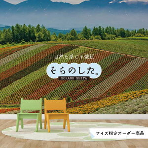 yI[_[ǎz ǎ ʐ^  A  {^jJ \₷ R hJr { Y CN ͗lւ X V  Q Lb` rO gC i iF ׂ݂͂邱 