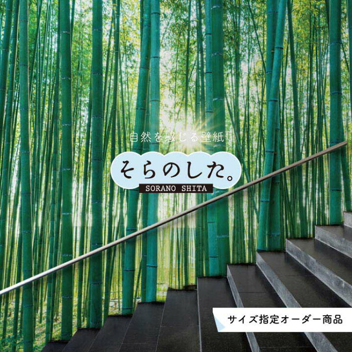 楽天市場 オーダー壁紙 壁紙 竹 和風 おしゃれ 写真 自然 木 竹林 癒し 落ち着く 貼りやすい デザイン 防カビ 日本製 国産 リメイク 模様替え 店舗 ホテル 天井 部屋 寝室 キッチン リビング トイレ 風景 景色 グリーン かべがみはるこ そらのした