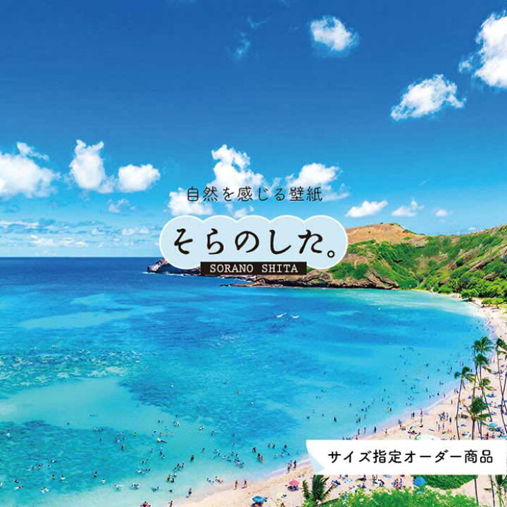楽天市場 オーダー壁紙 壁紙 海 写真 おしゃれ 自然 空 ビーチ リゾート 海岸 砂浜 マリン 貼りやすい デザイン 防カビ 日本製 国産 アクセントクロス リメイク 模様替え 店舗 内装 部屋 寝室 キッチン リビング トイレ 風景 景色 ブルー かべがみはるこ そらのした