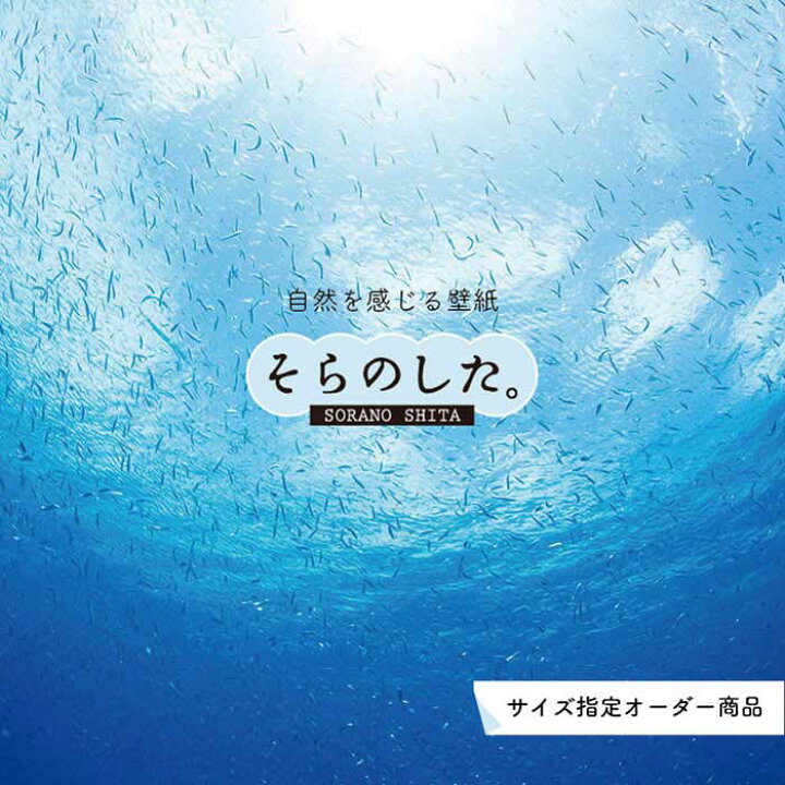 楽天市場 オーダー壁紙 壁紙 海の中 水中 ダイビング 熱帯魚 写真 おしゃれ 自然 幻想的 貼りやすい デザイン 防カビ 日本製 国産 リメイク 模様替え 店舗 天井 部屋 寝室 キッチン リビング トイレ 風景 景色 ブルー かべがみはるこ そらのした かべがみはる