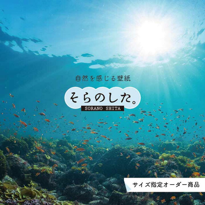 楽天市場 オーダー壁紙 壁紙 海の中 水中 ダイビング サンゴ 熱帯魚 サンゴ礁 写真 おしゃれ 自然 幻想的 貼りやすい デザイン 防カビ 日本製 国産 リメイク 模様替え 店舗 天井 部屋 寝室 キッチン リビング トイレ 風景 景色 ブルー かべがみはるこ そらのした