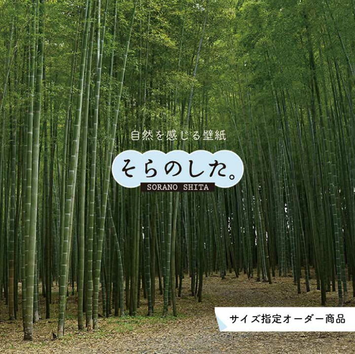 楽天市場 オーダー壁紙 壁紙 竹 和風 おしゃれ 写真 自然 木 竹林 癒し 落ち着く 貼りやすい デザイン 防カビ 日本製 国産 リメイク 模様替え 店舗 ホテル 天井 部屋 寝室 キッチン リビング トイレ 風景 景色 グリーン かべがみはるこ そらのした