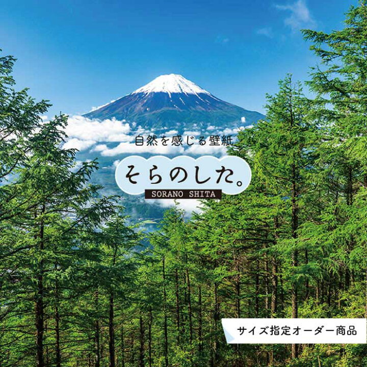 楽天市場 オーダー壁紙 壁紙 森林 写真 おしゃれ 自然 癒し 貼りやすい デザイン 防カビ 日本製 国産 リメイク 模様替え 店舗 天井 部屋 寝室 キッチン リビング トイレ 風景 景色 グリーン かべがみはるこ そらのした Ss かべがみはるこの壁紙工場