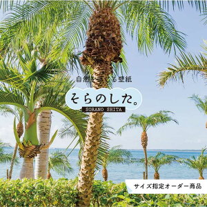 yI[_[ǎz ǎ V̖ C ʐ^  썑 nCA r[` ][g C \₷ hJr { Y CN ͗lւ X V  Q Lb` rO gC