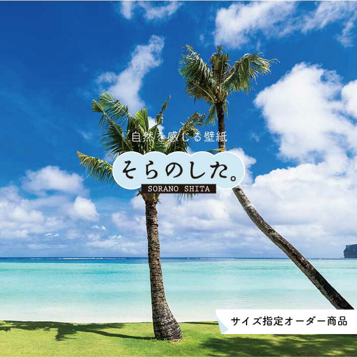 楽天市場 オーダー壁紙 壁紙 海 ヤシの木 写真 おしゃれ 南国風 ハワイアン ビーチ リゾート 海岸 グアム 貼りやすい 防カビ 日本製 国産 アクセントクロス リメイク 模様替え 店舗 部屋 寝室 キッチン リビング トイレ 風景 景色 ブルー かべがみはるこ そらのした 楽天市場 オーダー壁紙 壁紙 海 ヤシの木 写真 おしゃれ 南国風 ハワイアン ビーチ リゾート 海岸 グアム 貼りやすい 防カビ 日本製 国産 アクセントクロス リメイク 模様替え 店舗 部屋 寝室 キッチン リビング トイレ 風景 景色 ブルー かべがみはるこ そらのした